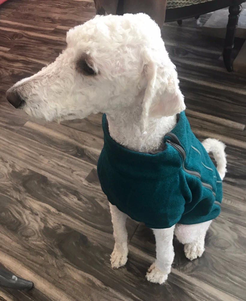 ruffwear fernie dog coat