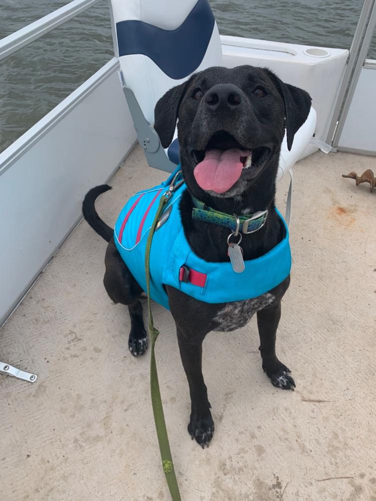 ruffwear float coat medium