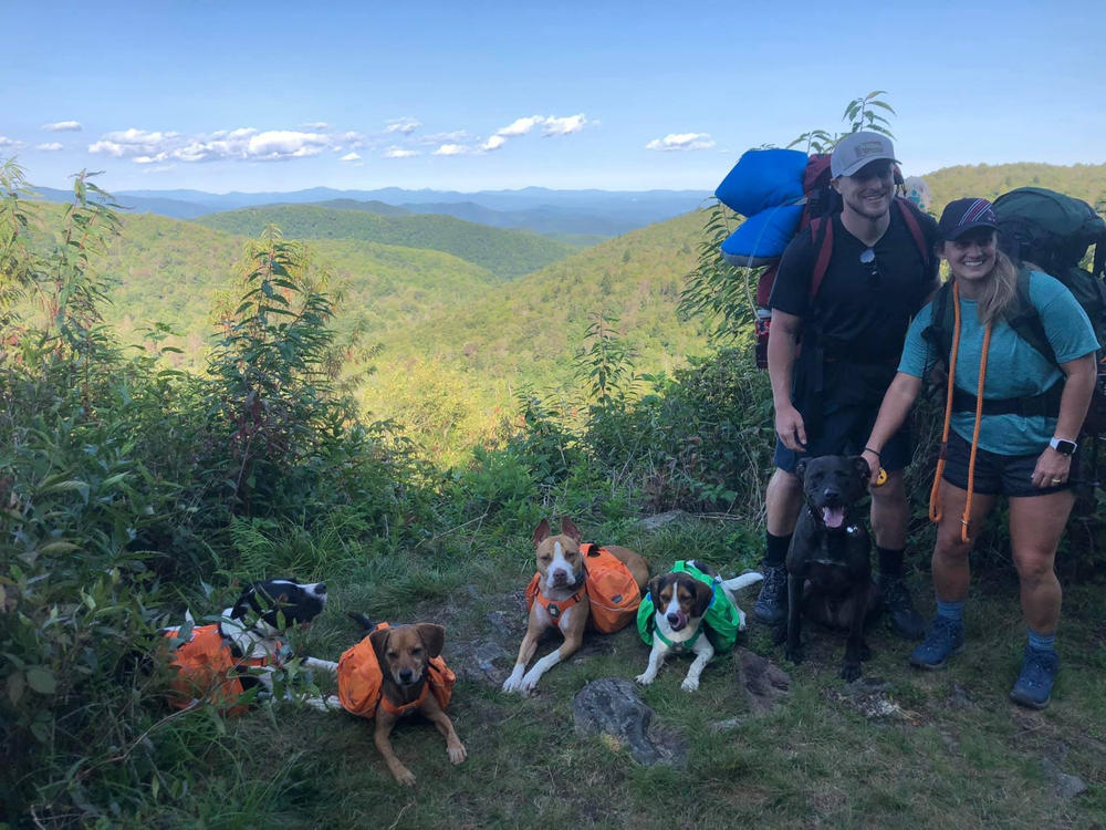 ruffwear approach dog backpack