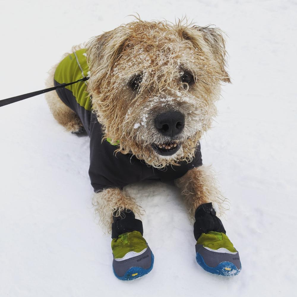 ruffwear polar trex dog boots