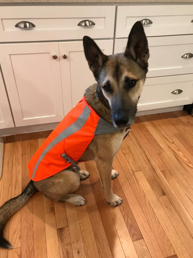 ruffwear track jacket