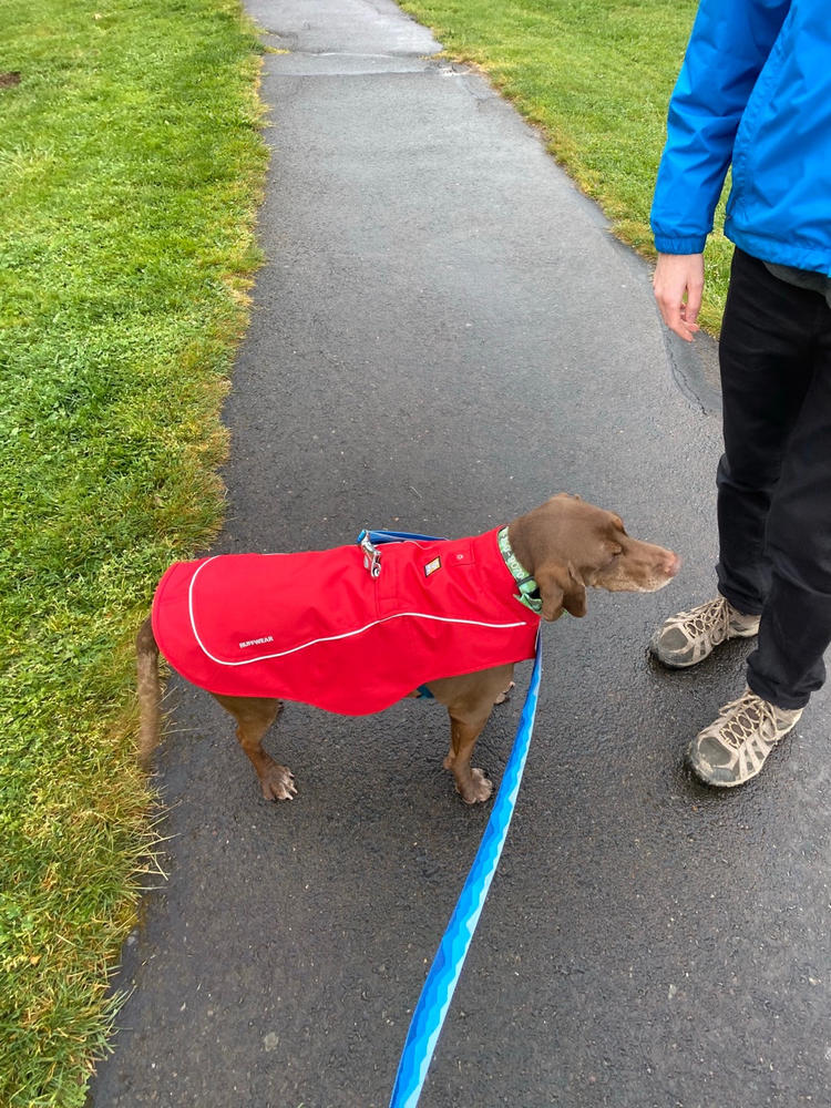 ruffwear k9 overcoat dog jacket