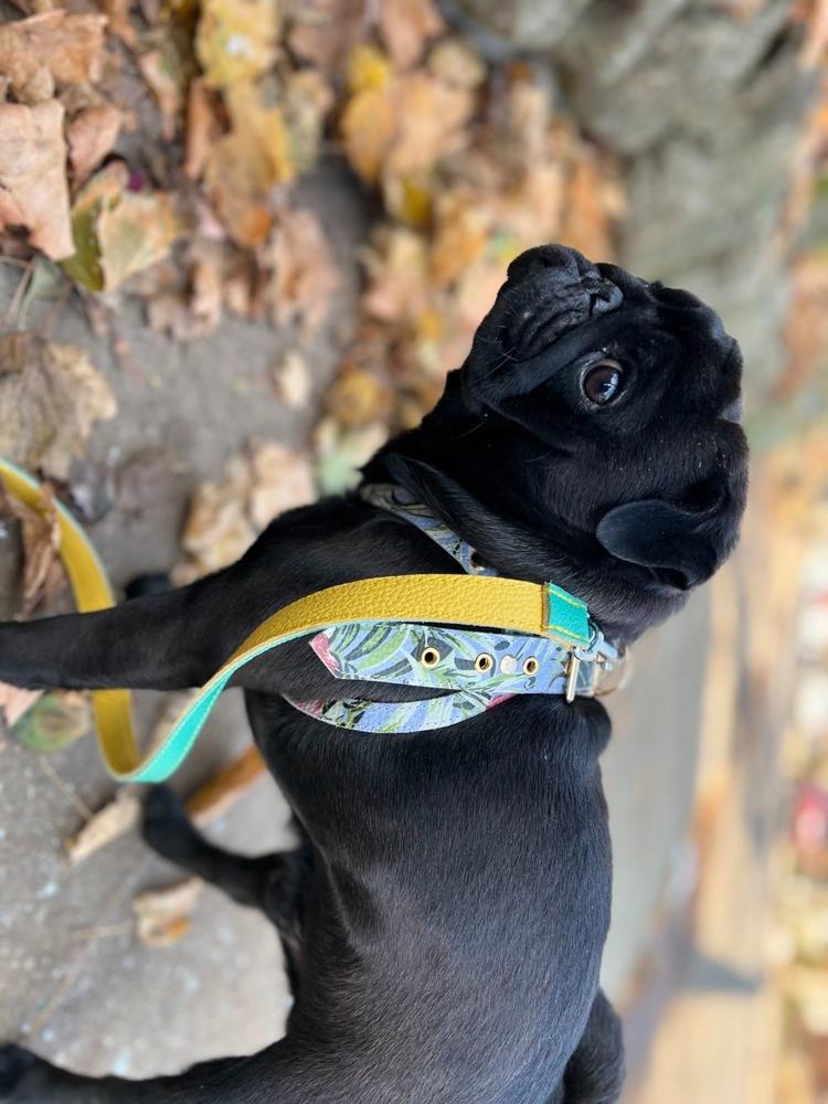 Leather Dog Lead Yellow and Beige RYAN London1