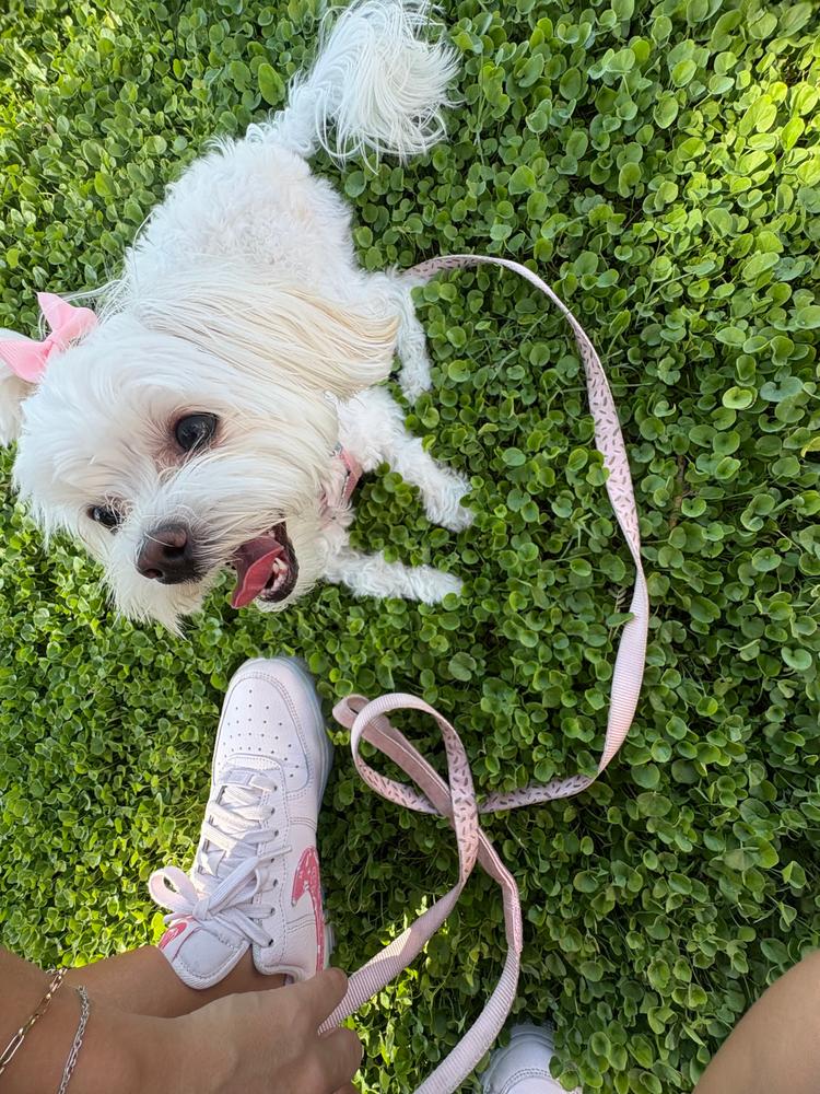 Hempz Petz Strawberry Limeade & Hibiscus Herbal Gentle