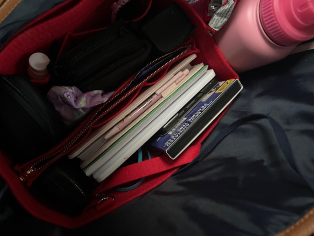 Large Handbag Organizer - Zipper Insert - Customer Photo From Allison P.