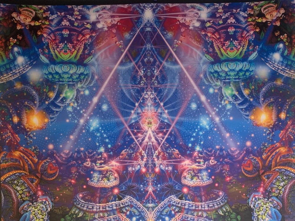 Trippy Tapestry | Psychedelic Wall Hanging | Psy | The Gates of Atlantis - Customer Photo From Kerry O’Dowd