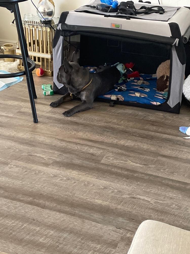 The Foldable Travel Dog Crate By DogGoods ® - Customer Photo From Samone Allen