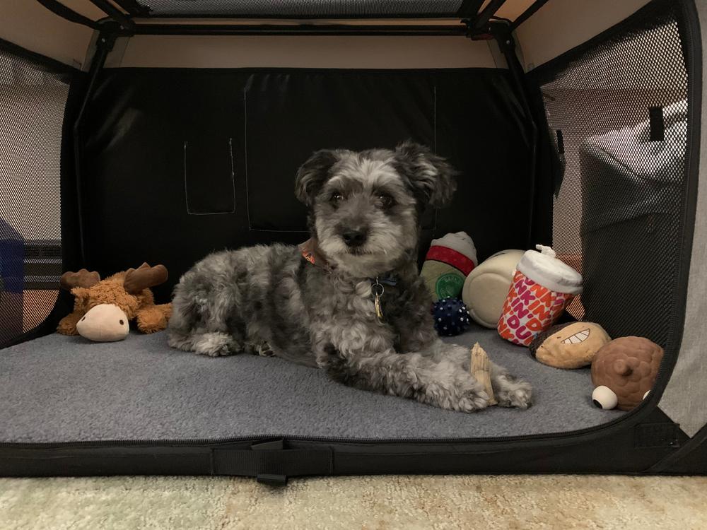 The Foldable Travel Dog Crate By DogGoods ® - Customer Photo From Anne Haines