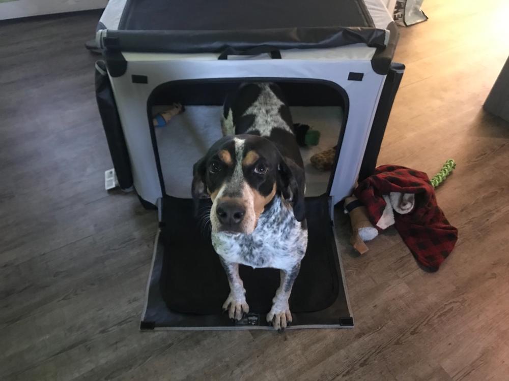 The Foldable Travel Dog Crate By DogGoods ® - Customer Photo From Kristin K.