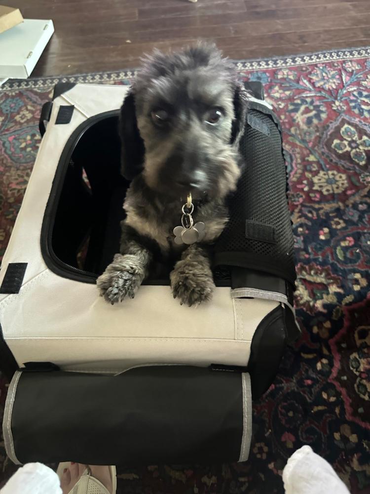 The Foldable Travel Dog Crate By DogGoods ® - Customer Photo From Jeanette Fox