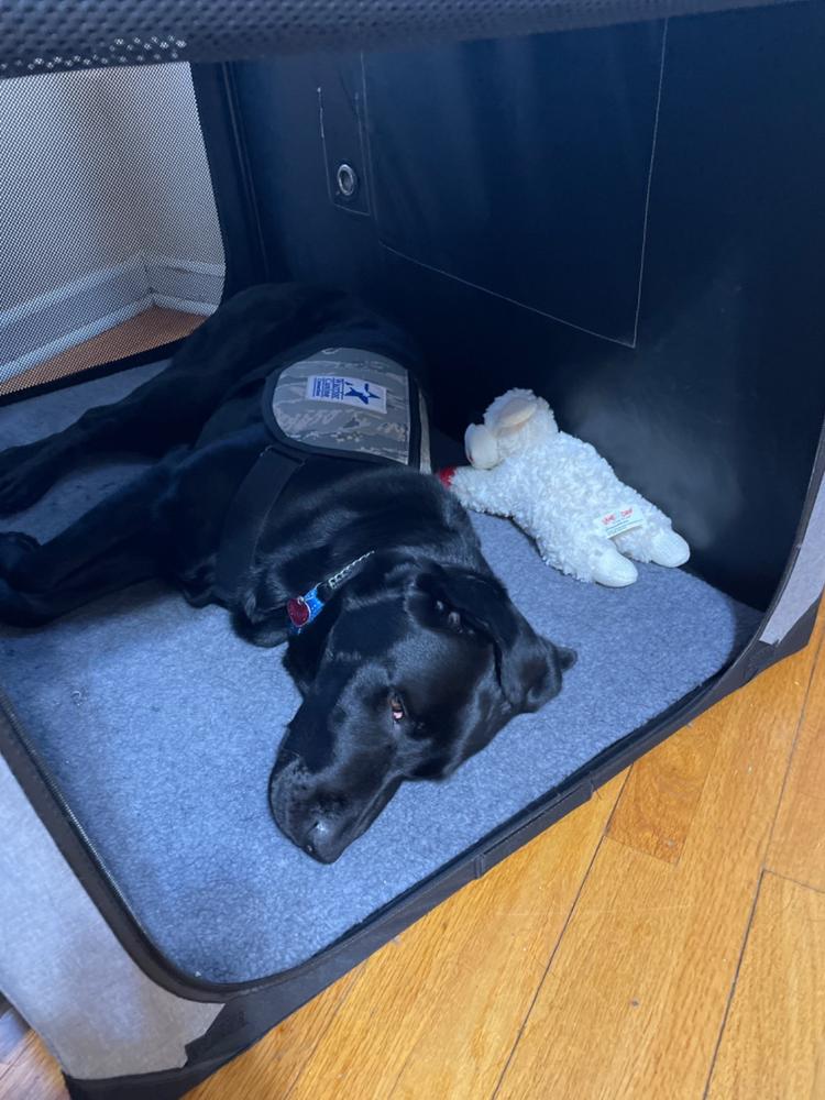 Priority Processing + Insurance - Customer Photo From Charles Lewis