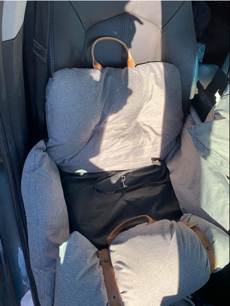 THE 3-IN-1 DOG CAR SEAT, DOG BED AND DOG TOTE BAG BY DOGGOODS ® - Customer Photo From sb-lynn