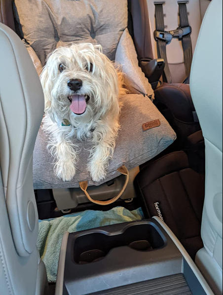 THE 3-IN-1 DOG CAR SEAT, DOG BED AND DOG TOTE BAG BY DOGGOODS ® - Customer Photo From Boca Nana