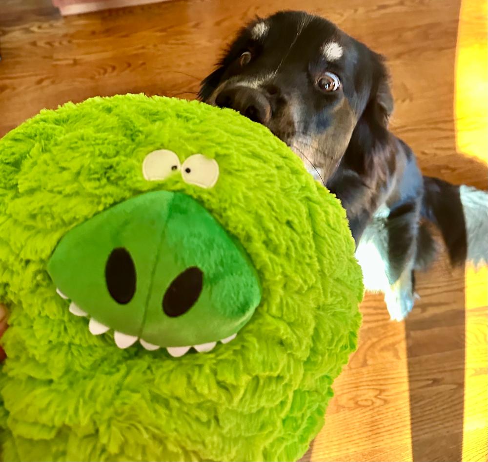 Gumdropimalz: Fun Dog Toy Grunters by DogGoods ™ - Customer Photo From Annd T