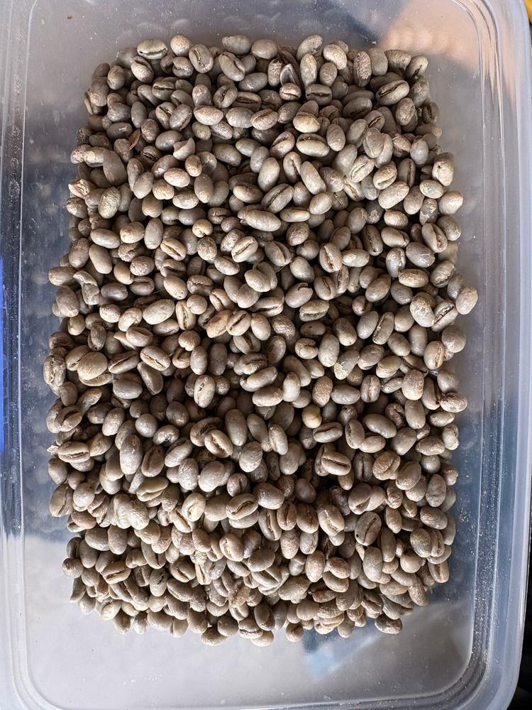 100% Kona Peaberry Green Coffee | Top Rated Kona Peaberry | Green
