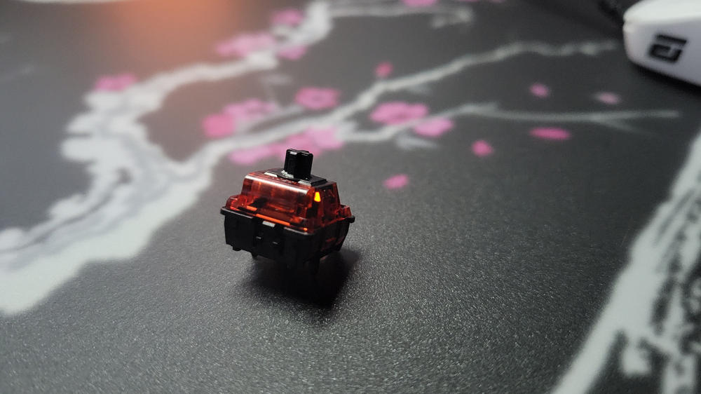 Geon Raptor HE V2 Switches – Divinikey
