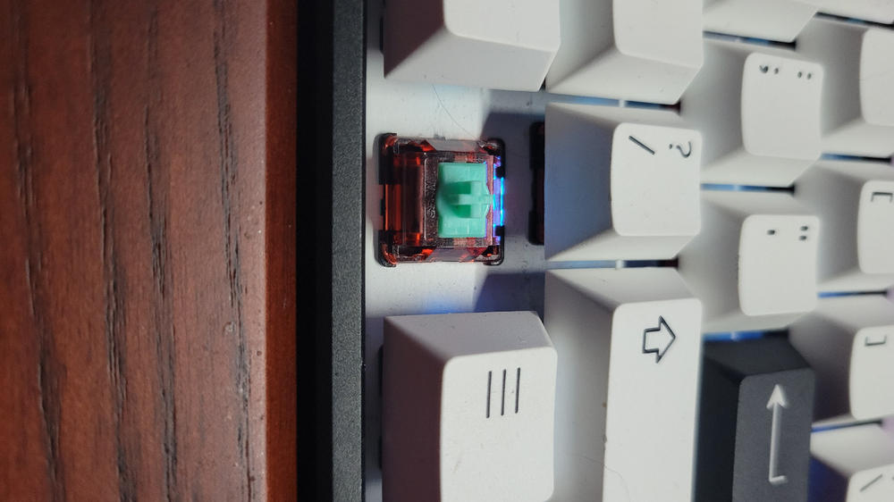 Geon Raptor HE V2 Switches – Divinikey