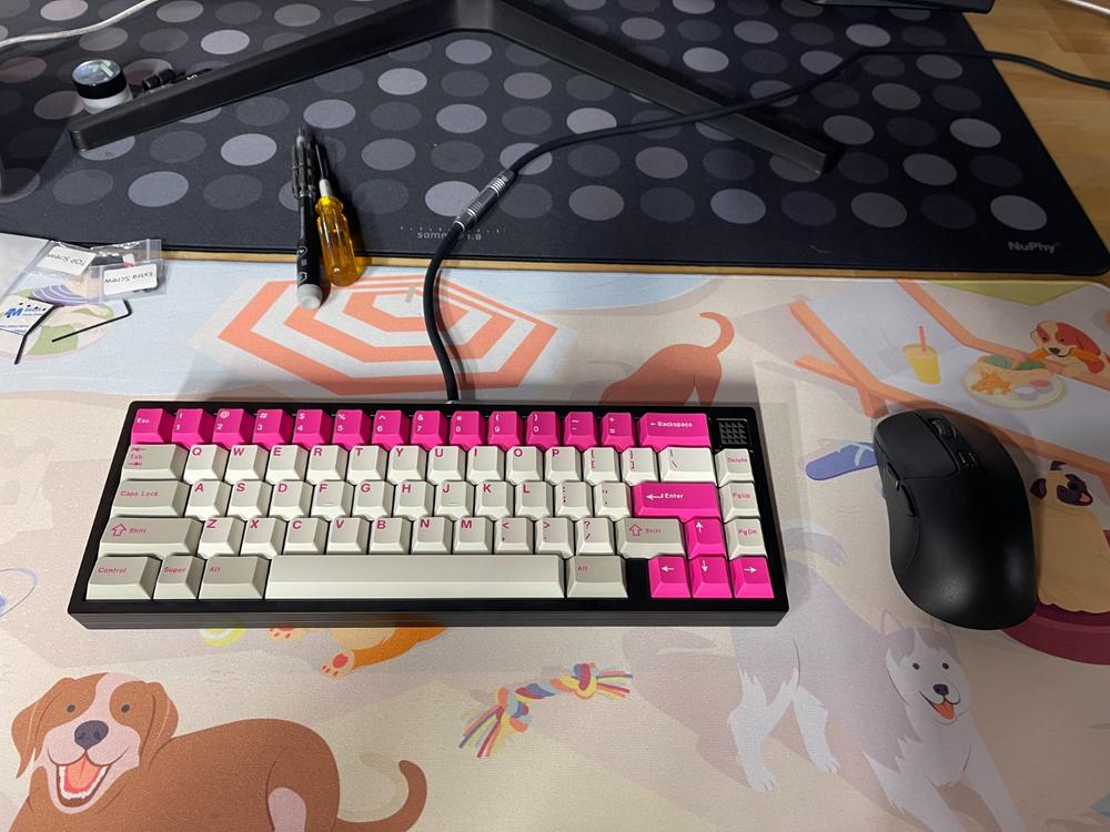 Divinikey x Modokey Tess65 Keyboard - Purple