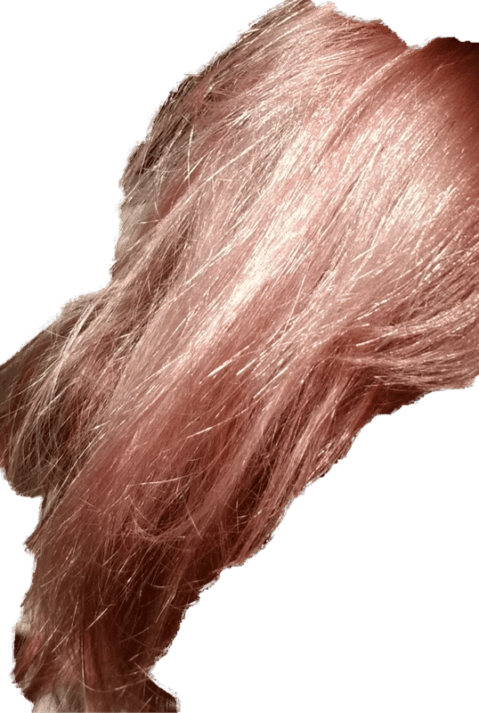 Pravana Chromasilk Vivid Everlasting Hair Color 3 Oz Image Beauty