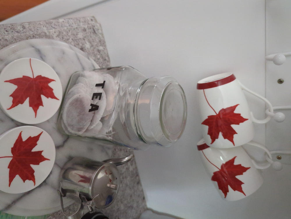 Memories of Canada Tea Mug W/Infuser and Lid - Customer Photo From Wanda-Adrienne Marks
