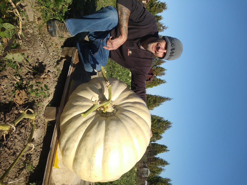 Giant Pumpkin Seed 1,768 Pounds 2022 Wallace Organic Wonder - Customer Photo From Nicole Phillips