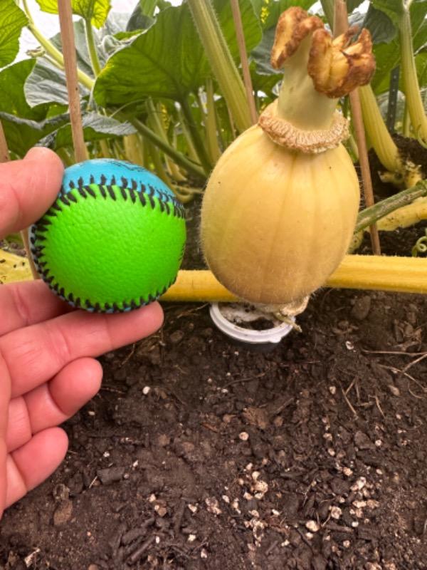 Soluble Humic and Fulvic Acid  Wallace Organic Wonder - Customer Photo From Mark Clementz