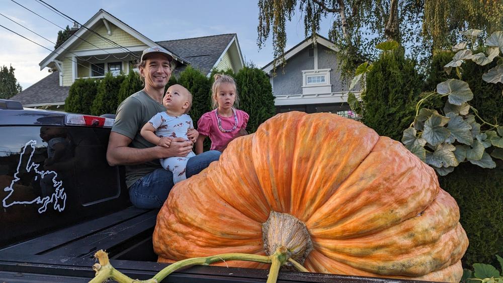 Giant Pumpkin Seeds Wallace