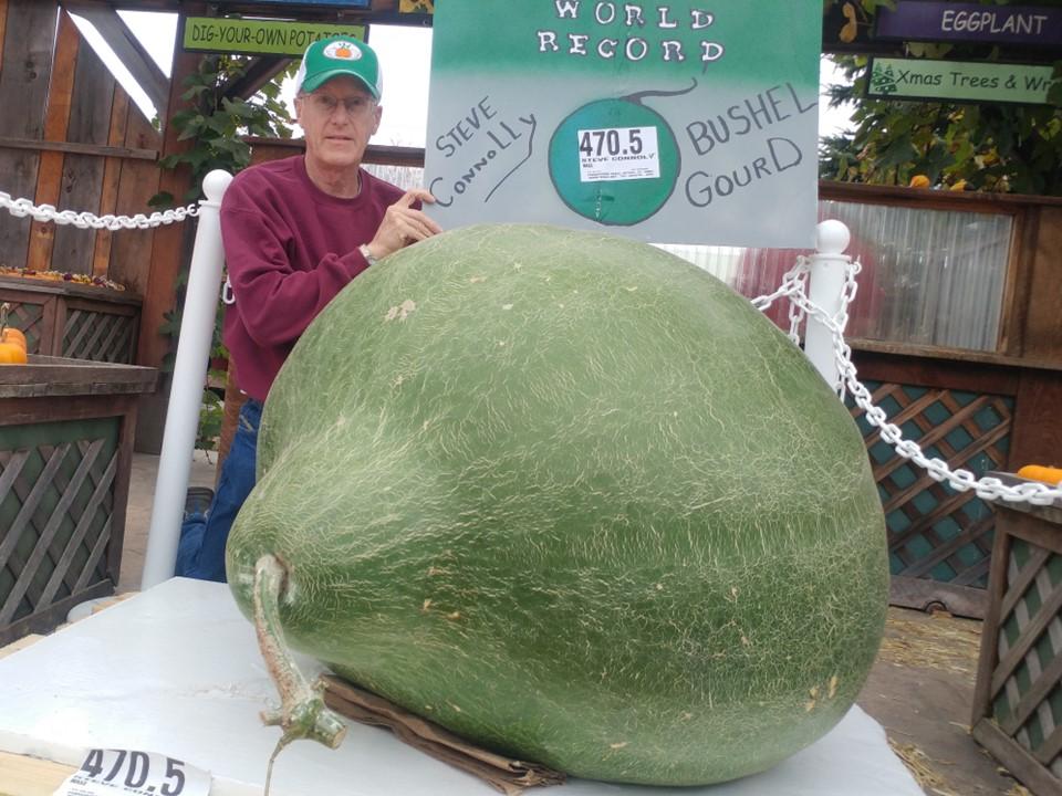 Premium Mycorrhizal Inoculant Wallace Organic Wonder - Customer Photo From Steve Connolly