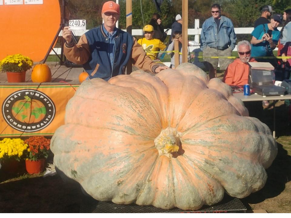 Premium Mycorrhizal Inoculant Wallace Organic Wonder - Customer Photo From Steve Connolly