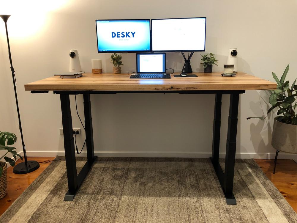 Desky standing deals desk