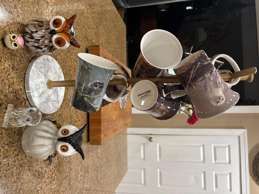 Owls set of 4 Mugs - Customer Photo From Herman Levy