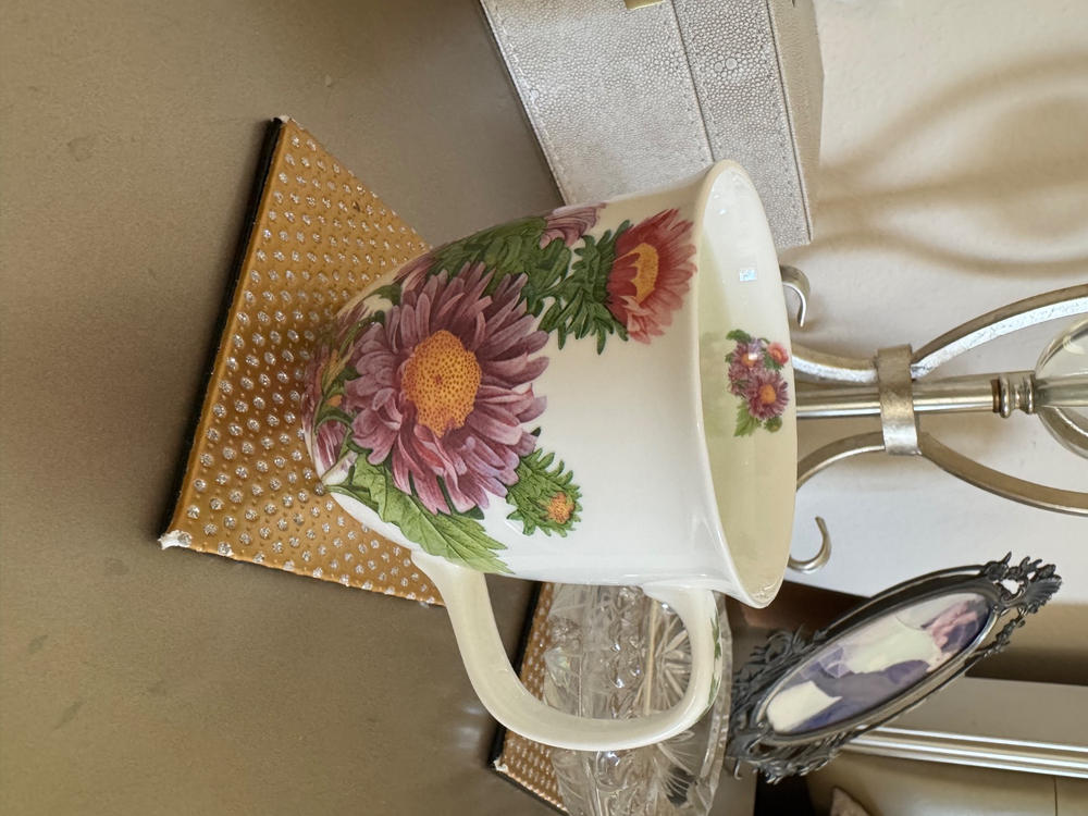 Botanical Flowers Michaelmas Daisy Java Mug - Customer Photo From Rimma Mogilevsky