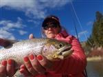 Skwala Stonefly, Bullet Head, Adult - Customer Photo From james mitchell