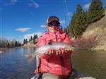 Skwala Stonefly, Bullet Head, Adult - Customer Photo From james mitchell