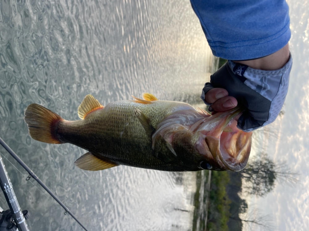 Gants de pêche AFTCO Release - Roussillon Fishing