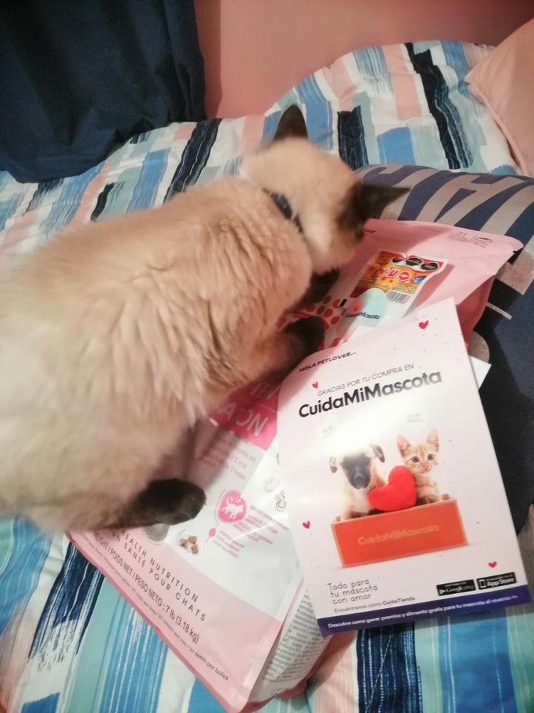 Royal Canin Kitten 3.18 kg - Alimento Seco Gatito - Customer Photo From Abril Aguilar Mendoza