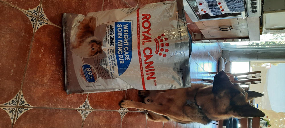 Royal Canin Large Light Weight Care / Maxi Weight Care 13.6 kg - Alimento Seco Adulto Raza Grande - Customer Photo From Ricardo Gonzalez S