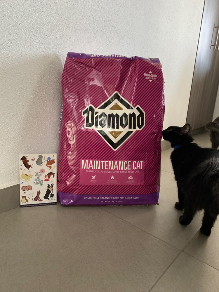 Diamond Maintenance Cat 18kg - Alimento Seco Gato Adulto - Customer Photo From Benjamín Cardoso