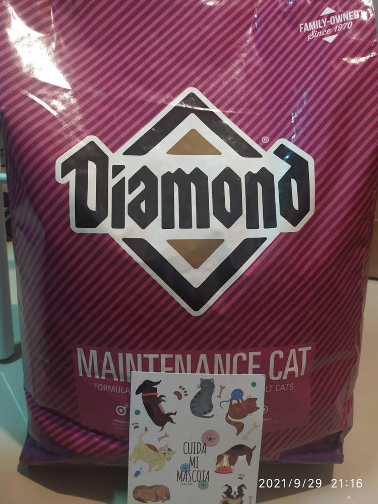 Diamond Maintenance Cat 18kg - Alimento Seco Gato Adulto - Customer Photo From Julio Armando Oropeza Uribe