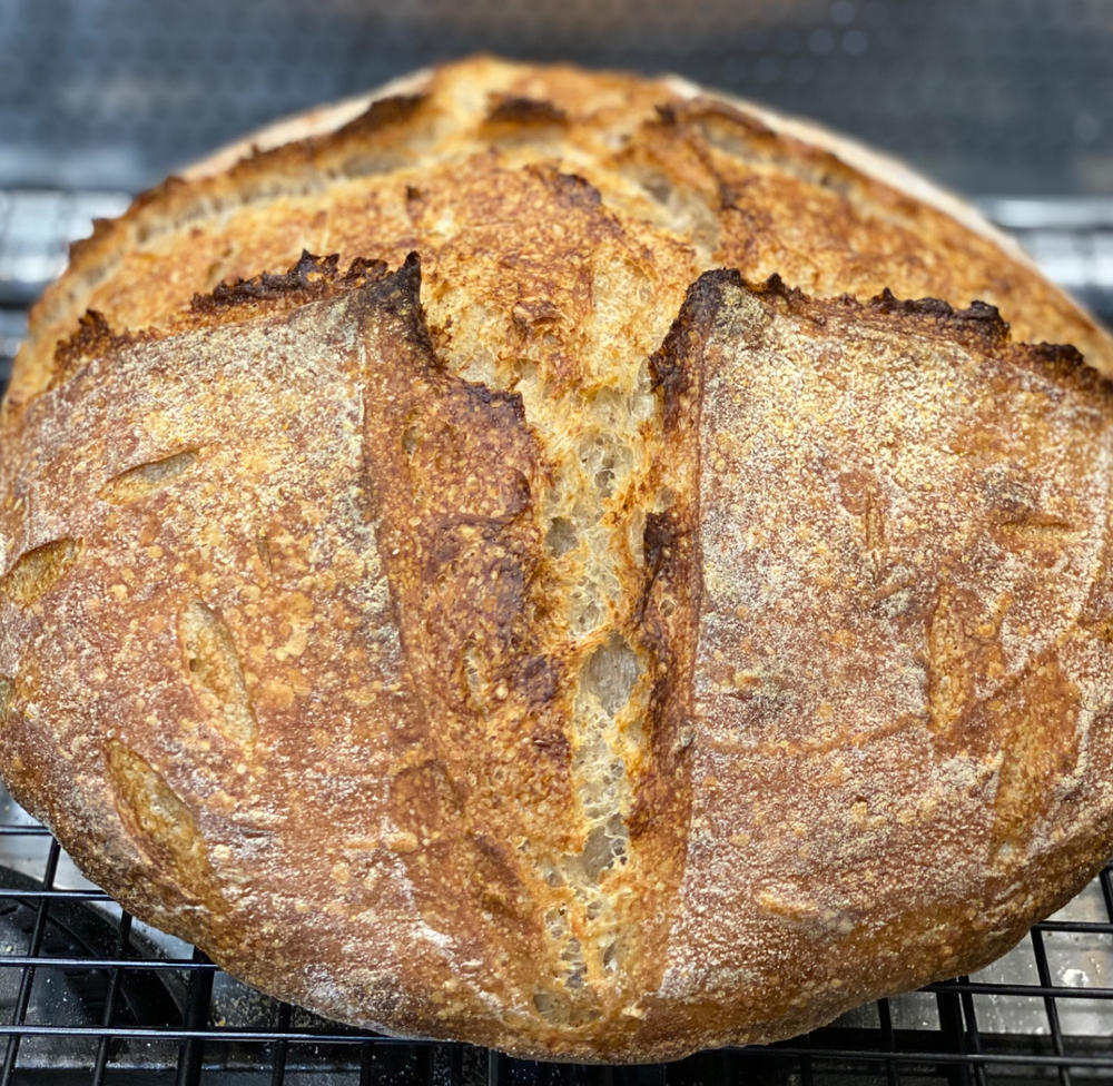 Organic Premium White Bakers Flour 12.5KG - Customer Photo From Virginia Ng