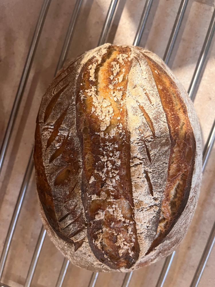 Organic Premium White Bakers Flour 12.5KG - Customer Photo From Emily