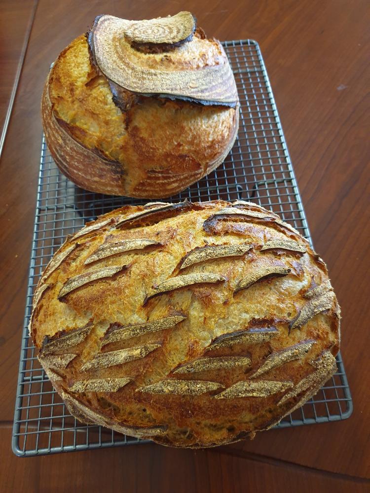 Organic Premium White Bakers Flour (roller milled) 12.5KG - Customer Photo From Ronnie