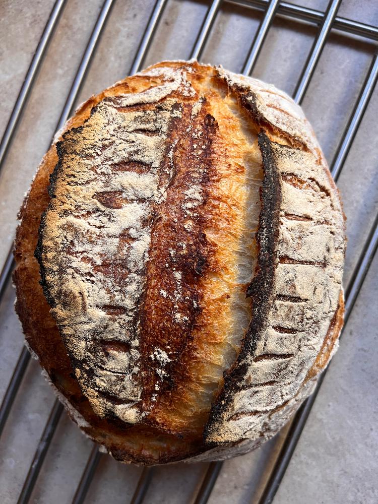 Organic Premium White Bakers Flour 12.5KG - Customer Photo From Emily