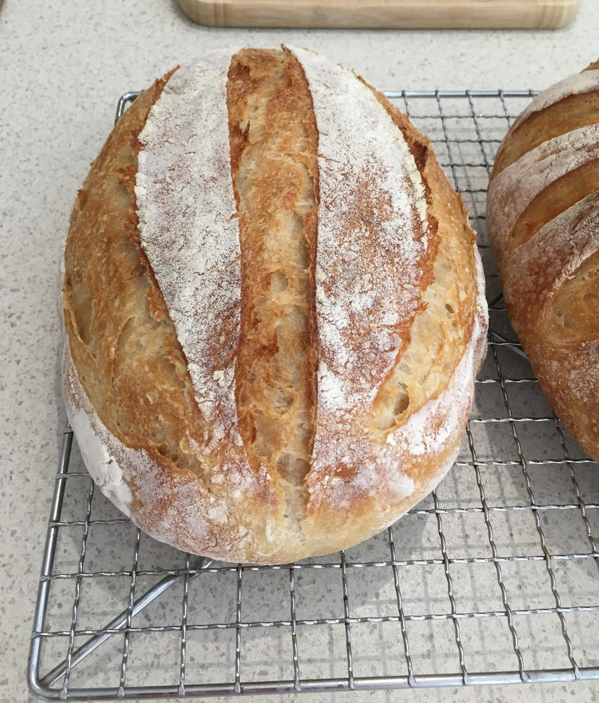Organic Premium Bakers White Flour (roller milled) 12.5KG - Customer Photo From Anne Cretan