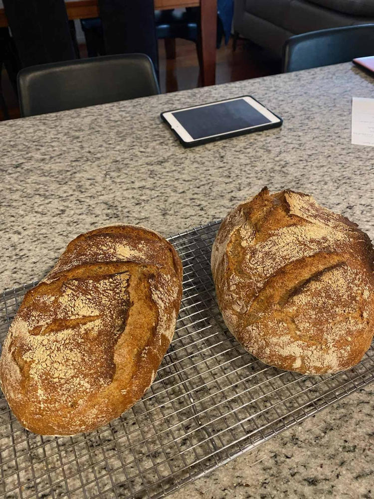 Organic Stoneground Whole Spelt Flour 12.5KG - Customer Photo From Nunzio Carnevale