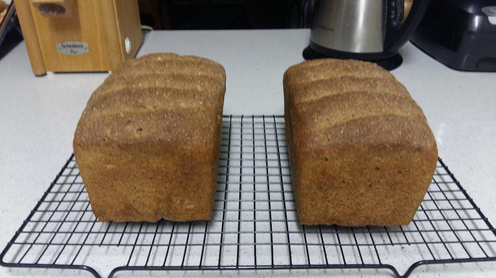 Organic Stoneground Whole Rye Flour 12.5KG - Customer Photo From Dorothea Preis