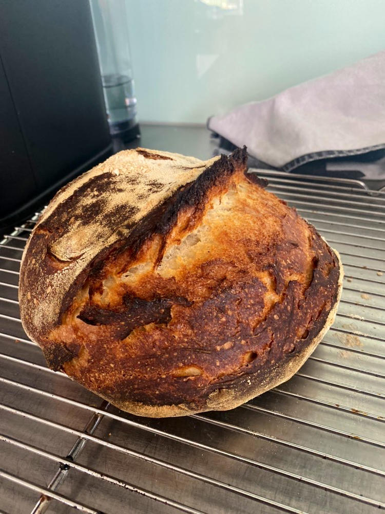 Organic Wholewheat Bakers Flour 12.5KG - Customer Photo From Karma Clarke