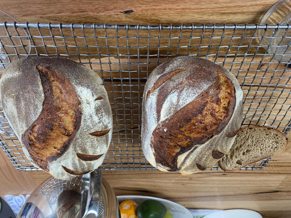Organic Stoneground White Bakers Flour 12.5KG - Customer Photo From Toni Jenkins