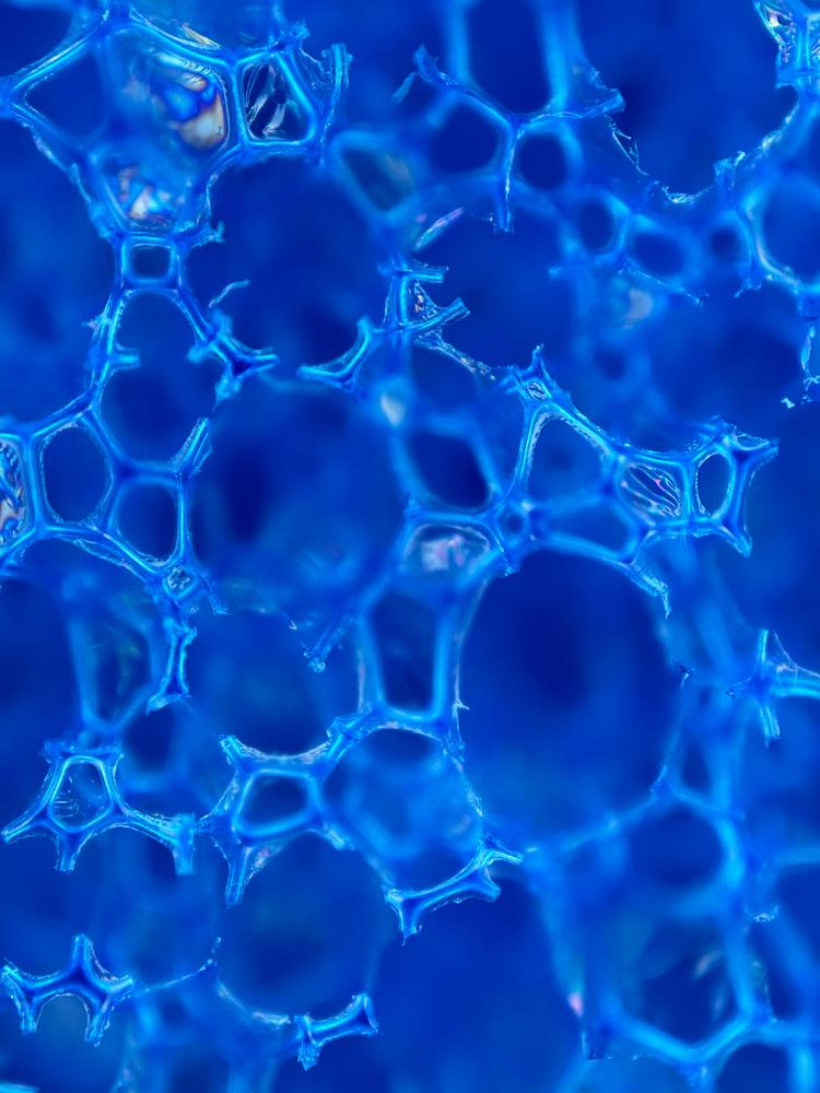Microscope Lens Edition - iPhone 15 Pro - Customer Photo From Megan