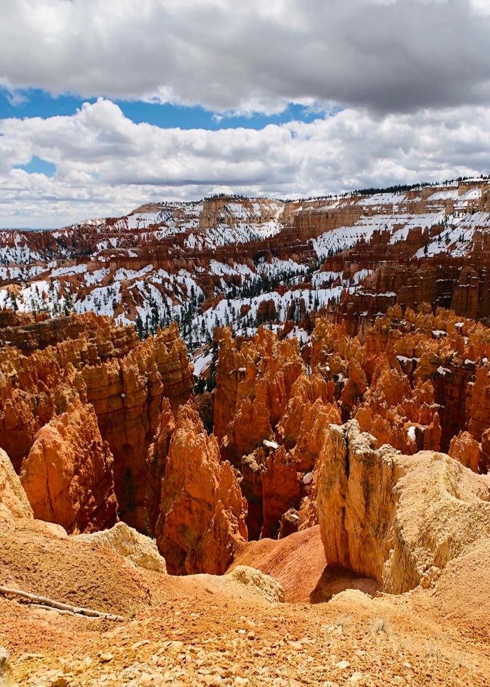 Drama Polarizer Filter - iPhone - Customer Photo From Edward W.